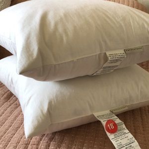 Pottery Barn 18” Feather Pillows (Set of 2).